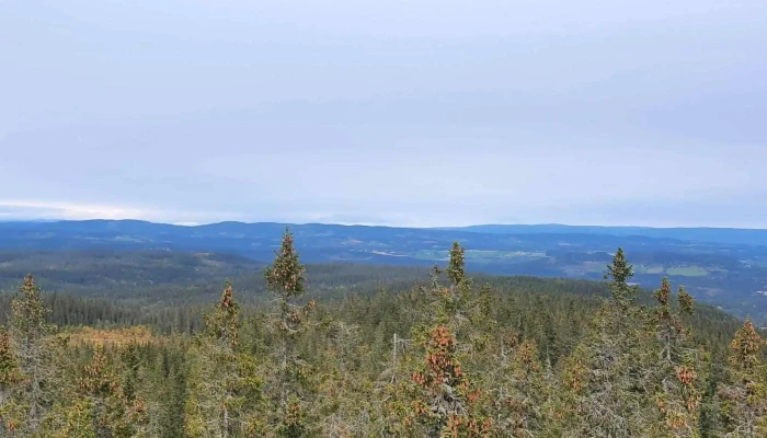 Lauvhogda Utsiktstarn Nær Meg - Raufoss