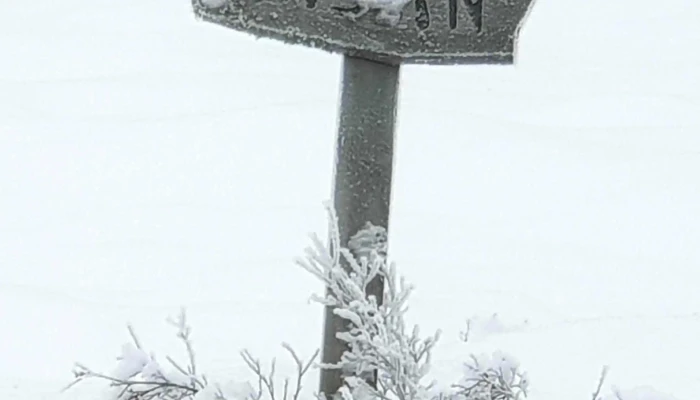 Leirsund -  Timeplan - Leirsund