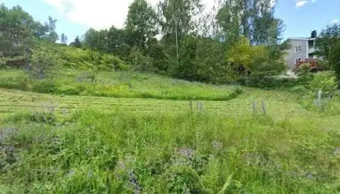 Livd -  Street View 360deg - Balestrand