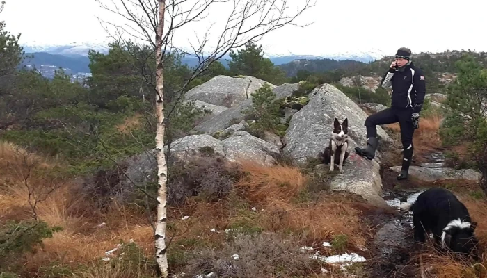 Lyseskarfjellet -  Adresse - Fana