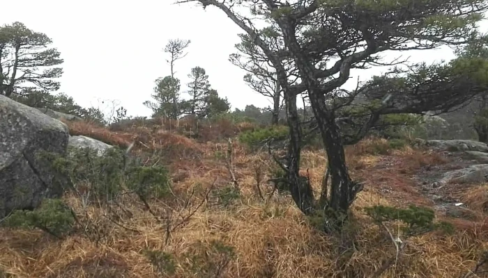 Lyseskarfjellet -  Nær Meg - Fana