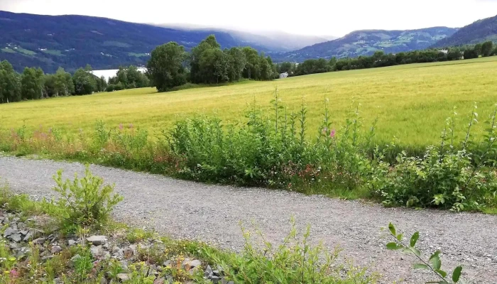 Lysgardsbakkene Ski Jumping Arena   Olympiaparken Hvor - Lillehammer