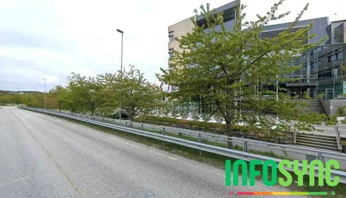 Marine Rådgivningstjenester As - Ålesund