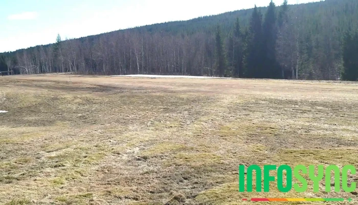 Meraker Flyplass Oian Videoer - Meråker