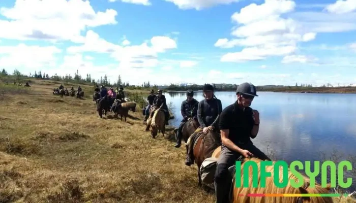 Merakerfjell Ridesenter Hest - Meråker