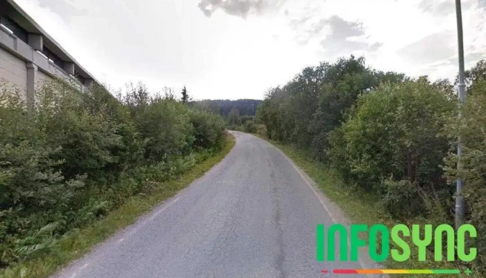Meta As fabrikk - Ålen