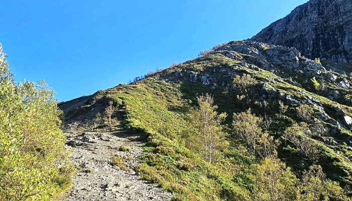 Midsundtrappene Sentrum -  Adresse - Midsund