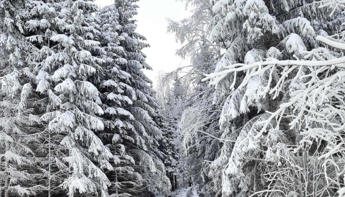 Modum Skisenter -  Instagram - Vikersund