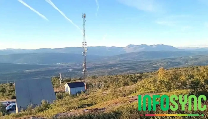 Mofjellet Utsiktspunkt -  Skog - Mo I Rana