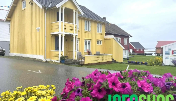 Molonaustet -  Fra Besokende - Smøla
