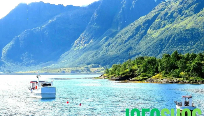 Moskenes Shipping As - Sørvågen