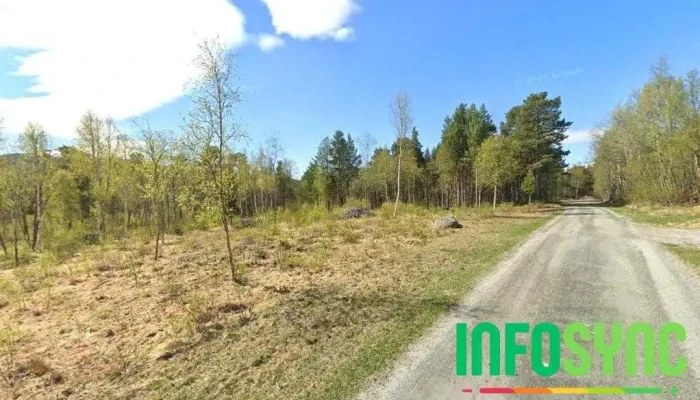 Myk Hygge As - Nedre Innkjøring