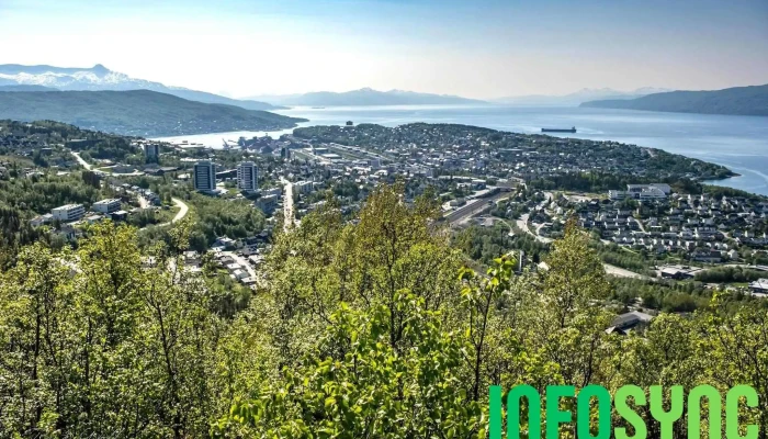 Narvik geyser - Narvik