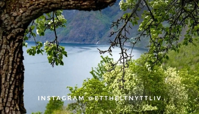 Nasjonal Turistveg Aurlandsfjellet -    Scenic Route   Startend Plassering - Aurland