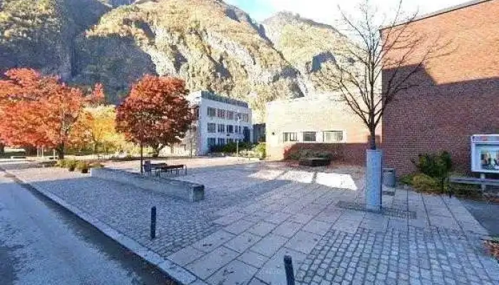 Nav Ardal Alle - Årdalstangen