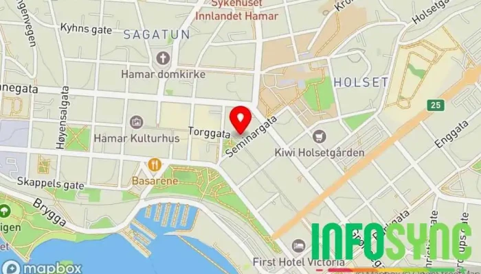 kart over NAV Hamar Sosialtjeneste-organisasjon i Hamar