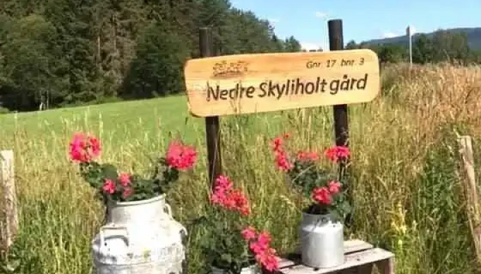 Nedre Skyliholt Gard Fra Eieren - Prestfoss