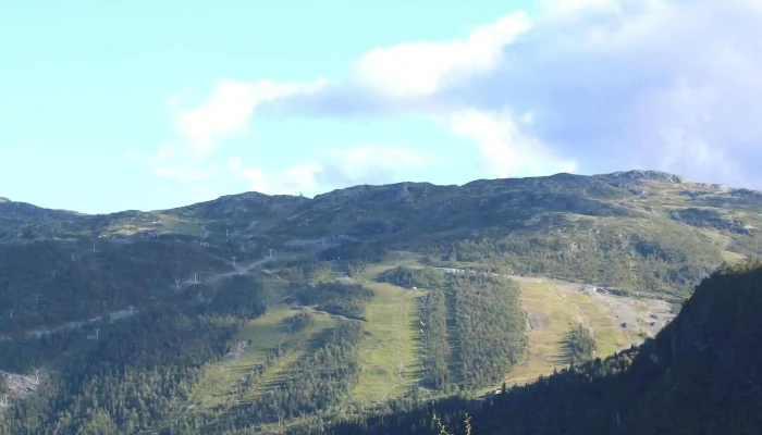 Nils Hytter -  Adresse - Hemsedal