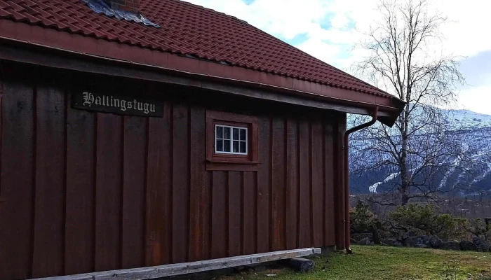 Nils Hytter -  Nettsted - Hemsedal