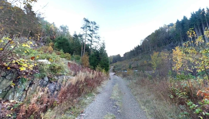 Nodeland -  Alle - Nodeland