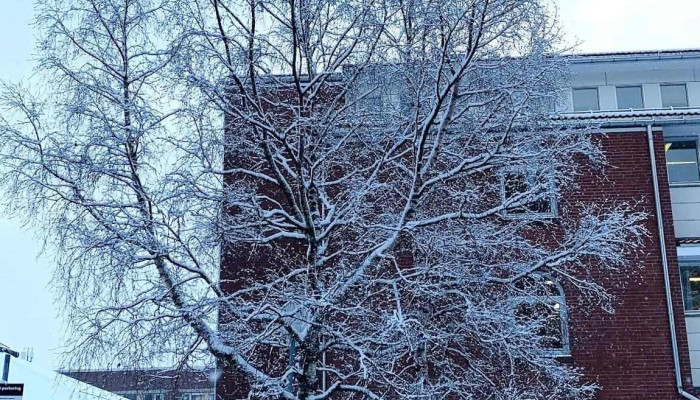 Nord Universitet -  Landskap - Bodø