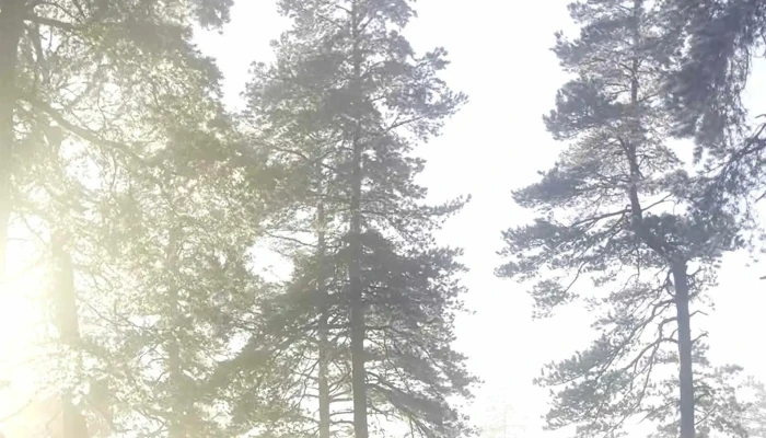 Nordbykollen Utsiktstarn Priser - Drammen