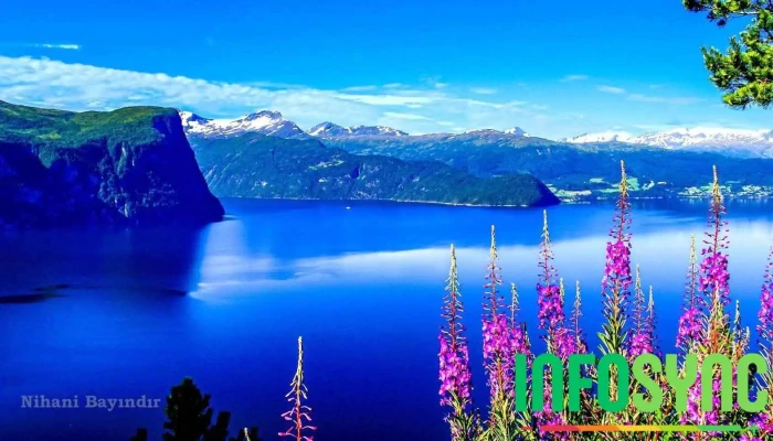 Norddalsfjorden - Norddal