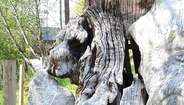 Nordfjord Folkemuseum -  Videoer - Sandane