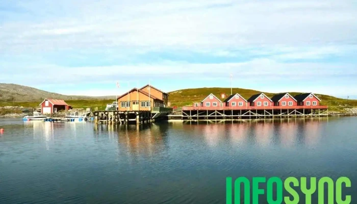 Nordic Safari Wildlife Adventures As -  Fra Eieren - Mehamn