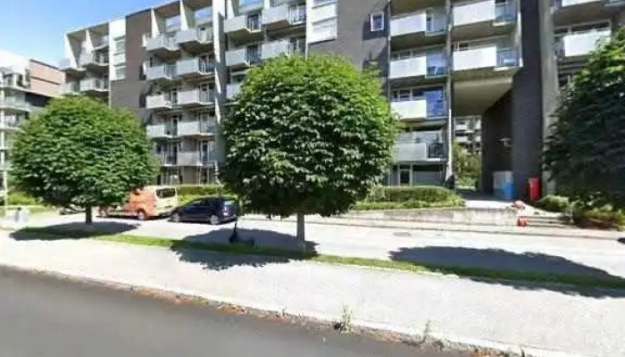 Norges Bedriftstjeneste -  Alle - Oslo