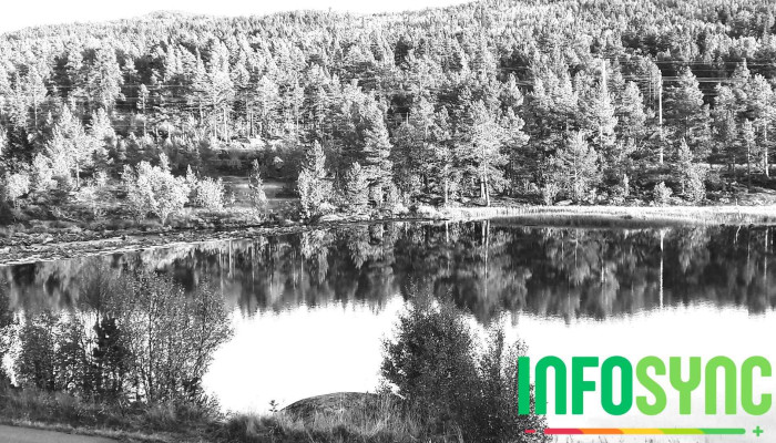 Norges Toppidrettsgymnas Geilo - Geilo
