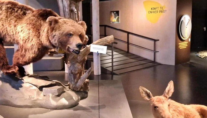 Norsk Skogmuseum -  Anmeldelser - Elverum