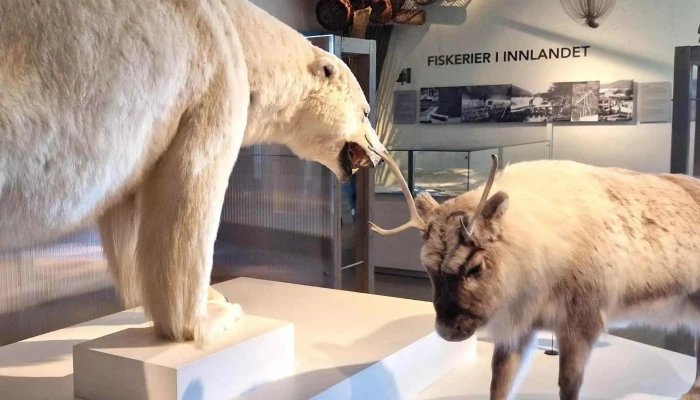 Norsk Skogmuseum -  Instagram - Elverum