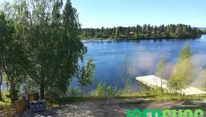 Norsk Skogmuseum -  Sist Opplastet - Elverum