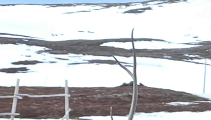 North Cape Experience -  Timeplan - Honningsvåg