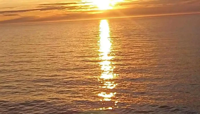 Northcape Artic Travel Servicehonningsvag Taxi Videoer - Honningsvåg