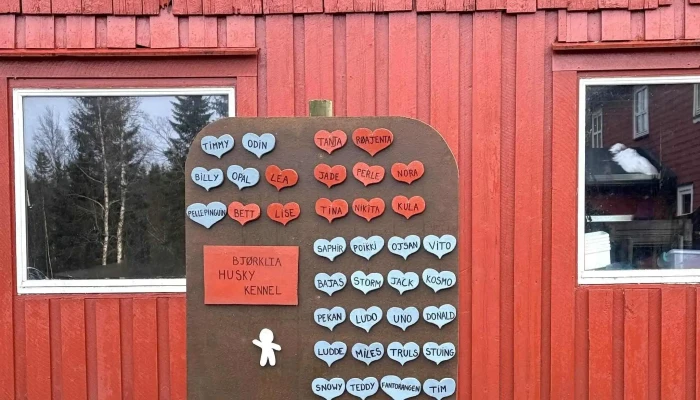 Norway Husky Adventure As -  Poengsum - Kopperå