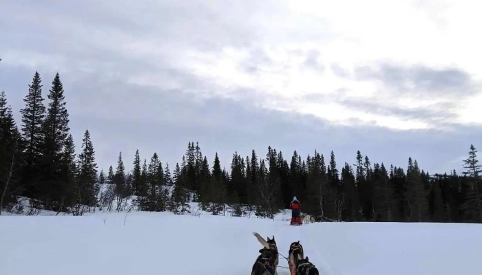 Norway Husky Adventure As -  Rekreasjon - Kopperå