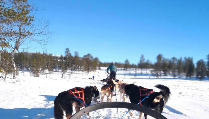 Norway Husky Adventure As -  Senter For Eventyrsport - Kopperå