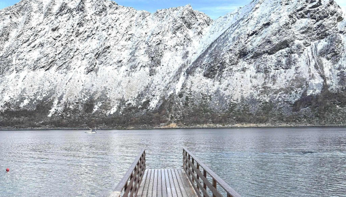 Norwaysenja As -  Gryllefjord - Gryllefjord