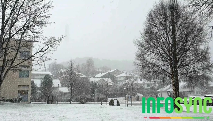 Ntnu I Alesund Videoer - Ålesund