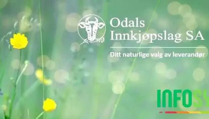 Odals innkjøpslag Sa - Skarnes