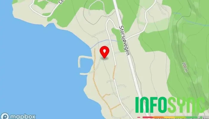 kart over Odølingen Eiendom AS Eiendomsforvaltningsselskap i Austvatn