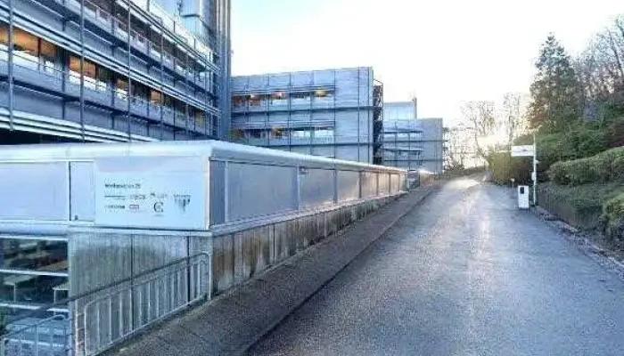 Option As -  Alle - Stavanger