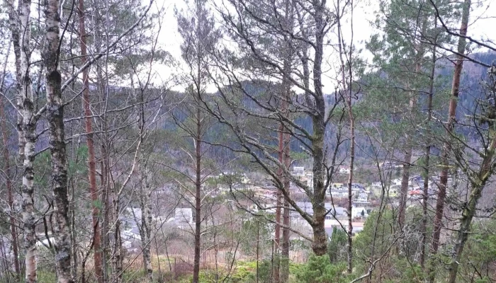 Osteroyhallen Osteroy Aktiv As Adresse - Lonevåg
