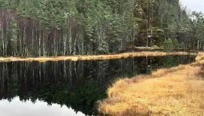 Osterøy senter - Lonevåg