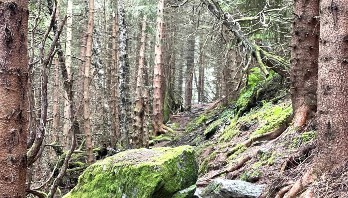 Panoramavegen -  Priser - Stranda