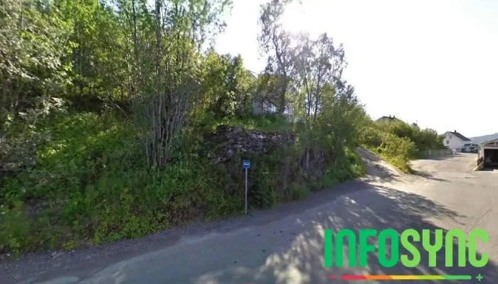 Pedagogisk-psykologisk tjeneste for midt-Troms - Ppt - Finnsnes