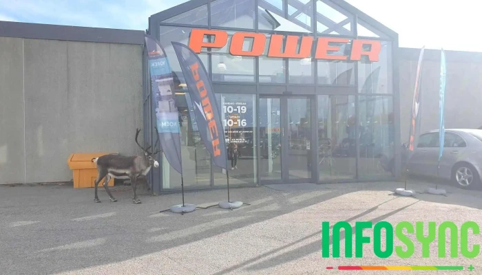 Power Hammerfest - Rypefjord