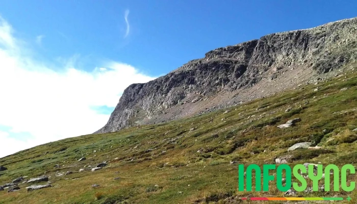 Prestholtseter -  Fjell - Geilo